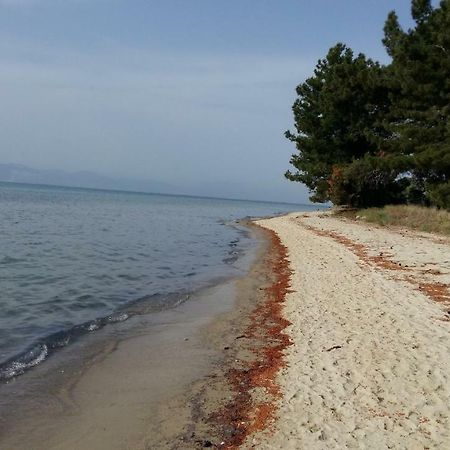 Vlachogiannis El Estate Apartment Skala Rachoni  ภายนอก รูปภาพ