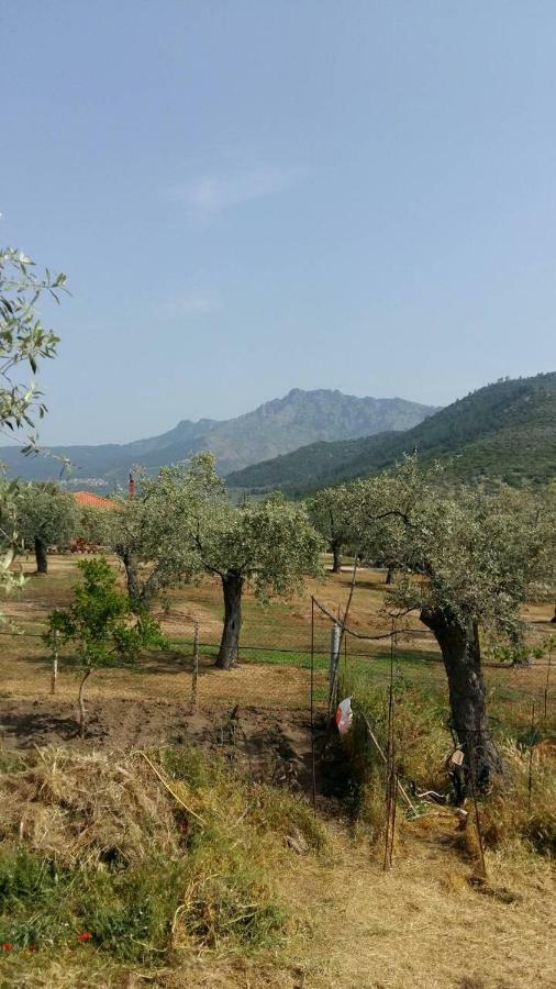 Vlachogiannis El Estate Apartment Skala Rachoni  ภายนอก รูปภาพ