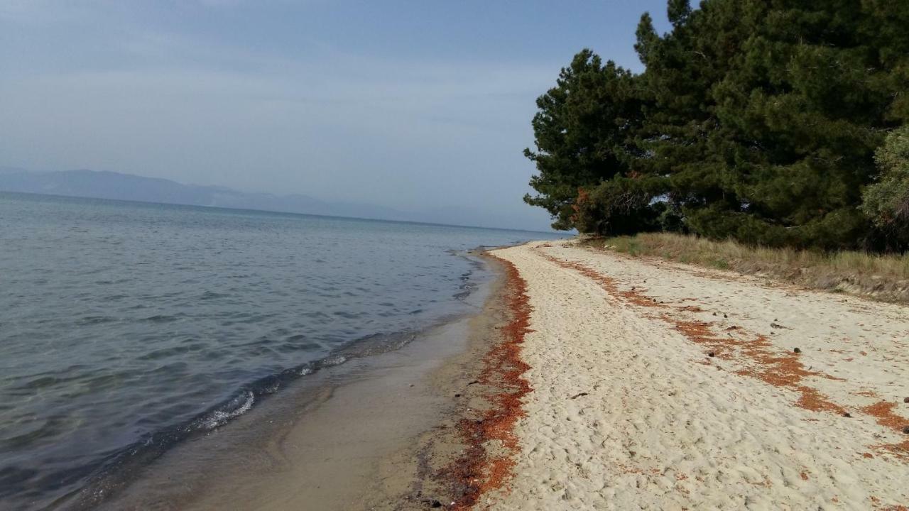 Vlachogiannis El Estate Apartment Skala Rachoni  ภายนอก รูปภาพ