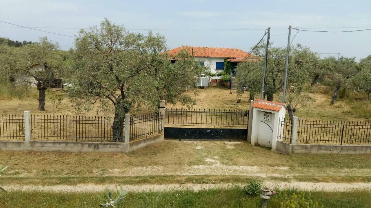Vlachogiannis El Estate Apartment Skala Rachoni  ภายนอก รูปภาพ
