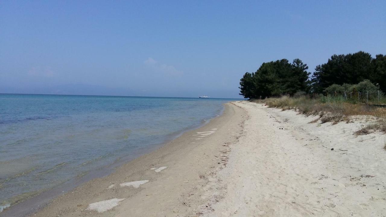 Vlachogiannis El Estate Apartment Skala Rachoni  ภายนอก รูปภาพ