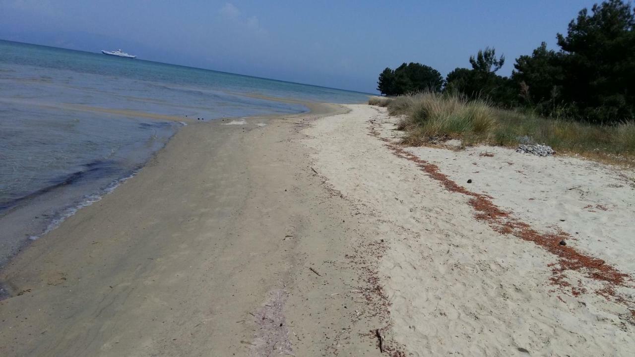 Vlachogiannis El Estate Apartment Skala Rachoni  ภายนอก รูปภาพ