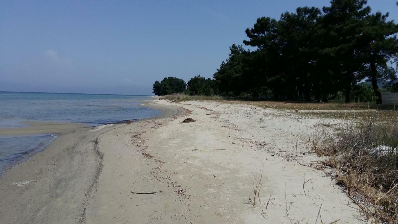Vlachogiannis El Estate Apartment Skala Rachoni  ภายนอก รูปภาพ